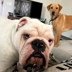 Meet your Posher, Cristen